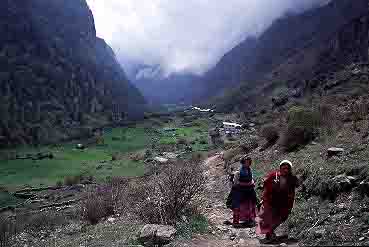 Langta g Valley, Nepal, Jacek Piwowarczyk, 2001