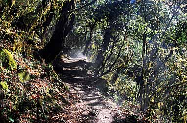 Langta g Valley, Nepal, Jacek Piwowarczyk, 2001