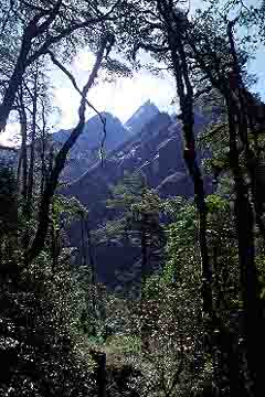 Langta g Valley, Nepal, Jacek Piwowarczyk, 2001