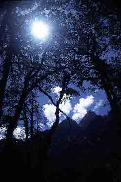 Langta g Valley, Nepal, Jacek Piwowarczyk, 2001