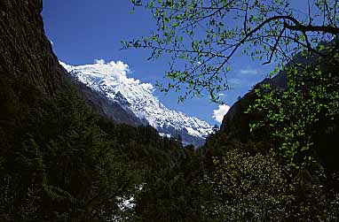 Langta g Valley, Nepal, Jacek Piwowarczyk, 2001