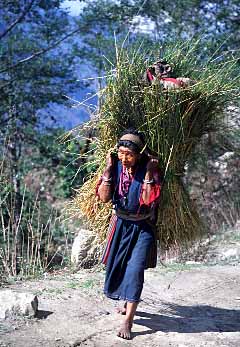 Dhunche, Nepal, Jacek Piwowarczyk, 2001