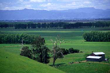 New Zealand, Jacek Piwowarczyk, 2002