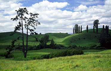 New Zealand, Jacek Piwowarczyk, 2002