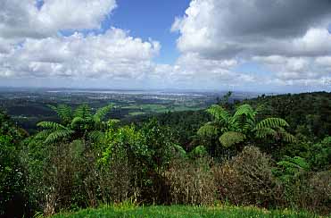 Waitakere Ranges, New Zealand, Jacek Piwowarczyk, 2002