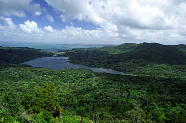 Waitakere Ranges, New Zealand, Jacek Piwowarczyk, 2002