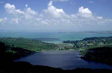 Waitakere Ranges, New Zealand, Jacek Piwowarczyk, 2002