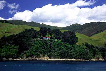 Cook Strait, New Zealand, Jacek Piwowarczyk, 2002