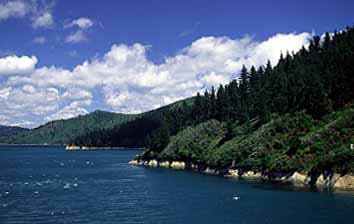 Cook Strait, New Zealand, Jacek Piwowarczyk, 2002