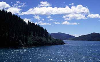 Cook Strait, New Zealand, Jacek Piwowarczyk, 2002