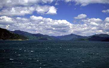 Cook Strait, New Zealand, Jacek Piwowarczyk, 2002