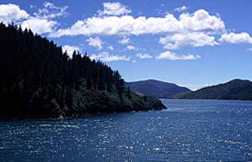 Cook Strait Crossing