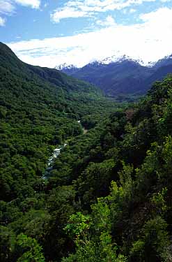 Fiordland, New Zealand, Jacek Piwowarczyk, 2002