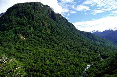 Fiordland, New Zealand, Jacek Piwowarczyk, 2002