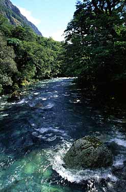 Fiordland, New Zealand, Jacek Piwowarczyk, 2002