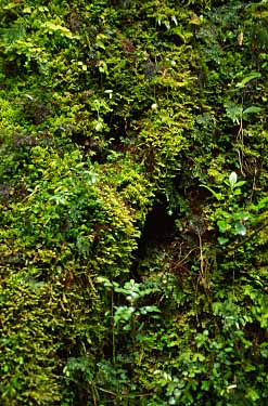 Fiordland, New Zealand, Jacek Piwowarczyk, 2002