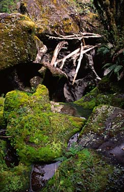 Fiordland, New Zealand, Jacek Piwowarczyk, 2002