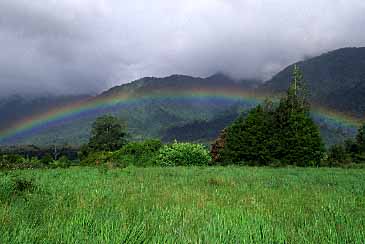 Franz Joseph, New Zealand, Jacek Piwowarczyk, 2002