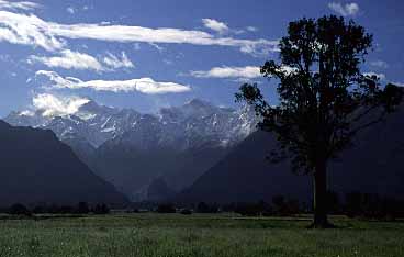 Lake Matheson,  New Zealand, Jacek Piwowarczyk, 2002