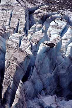 Fox Glacier,  New Zealand, Jacek Piwowarczyk, 2002