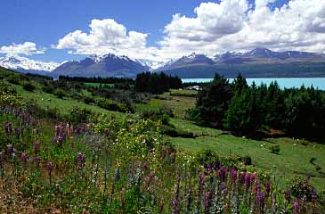 Lake Pukaki, New Zealand, Jacek Piwowarczyk, 2002