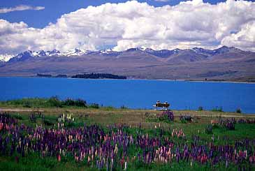 Lake Tekapo, New Zealand, Jacek Piwowarczyk, 2002