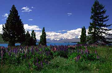 Lake Tekapo, New Zealand, Jacek Piwowarczyk, 2002