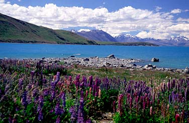 Lake Tekapo, New Zealand, Jacek Piwowarczyk, 2002