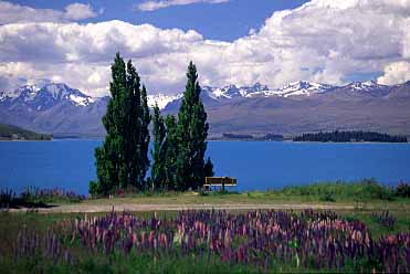 Lake Tekapo Region