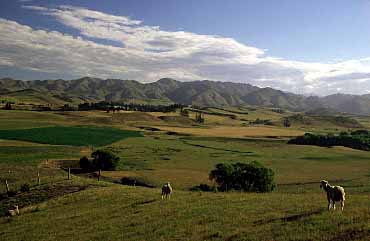 Marlborough, New Zealand, Jacek Piwowarczyk, 2002