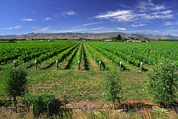 Marlborough, New Zealand, Jacek Piwowarczyk, 2002