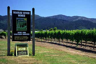 Marlborough, New Zealand, Jacek Piwowarczyk, 2002