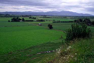 Martinborough, New Zealand, © Jacek Piwowarczyk  2002