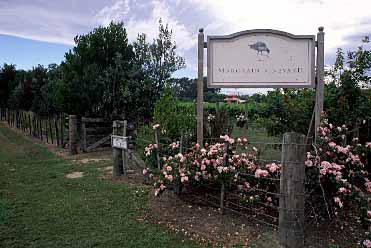 Martinborough, New Zealand, © Jacek Piwowarczyk  2002