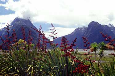 Milford Sound, New Zealand, Jacek Piwowarczyk, 2002