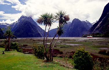 Milford Sound, New Zealand, Jacek Piwowarczyk, 2002
