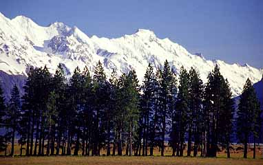 Mt. Cook Road, New Zealand, Jacek Piwowarczyk, 2002