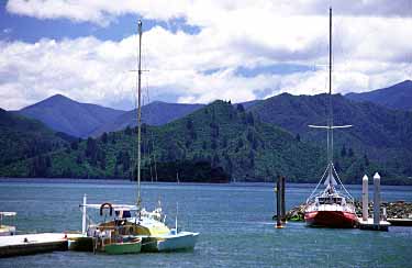 Picton, New Zealand, Jacek Piwowarczyk, 2002