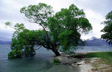 Queenstown, New Zealand, Jacek Piwowarczyk, 2002