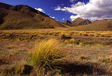 Lindis Pass, New Zealand, Jacek Piwowarczyk, 2002