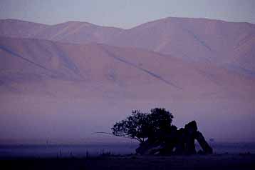 Twizel area, New Zealand, Jacek Piwowarczyk, 2002