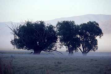 Twizel area, New Zealand, Jacek Piwowarczyk, 2002