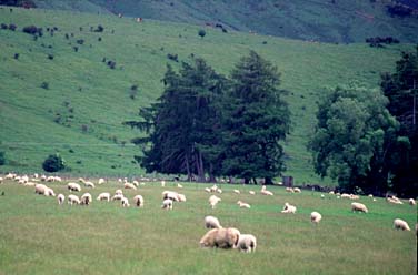 Queenstown to Fiordland, New Zealand, Jacek Piwowarczyk, 2002