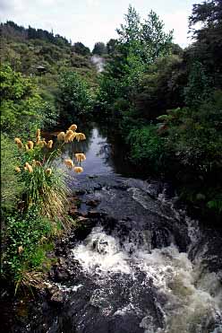 Rotorua, New Zealand, Jacek Piwowarczyk, 2002