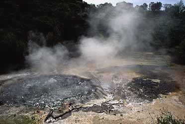 Rotorua, New Zealand, Jacek Piwowarczyk, 2002