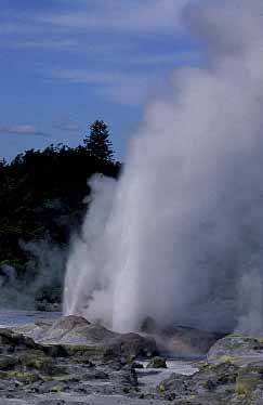 Rotorua, New Zealand, Jacek Piwowarczyk, 2002