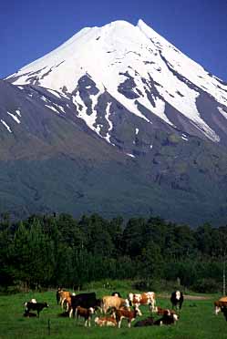 Mt. Taranaki, New Zealand, Jacek Piwowarczyk, 2002 