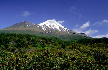 Mt. Taranaki, New Zealand, Jacek Piwowarczyk, 2002 