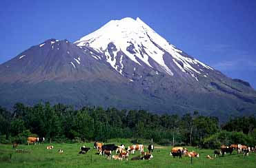 Mt. Taranaki