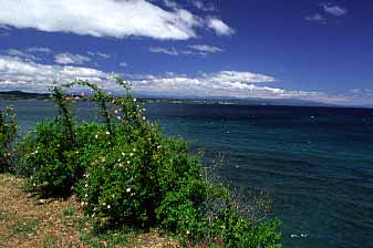 Taupo, New Zealand, Jacek Piwowarczyk, 2002